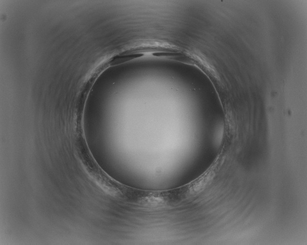 X0000074040159200608281453