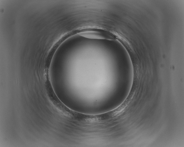 X0000074040160200608281453