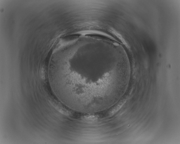 X0000074040161200608281453