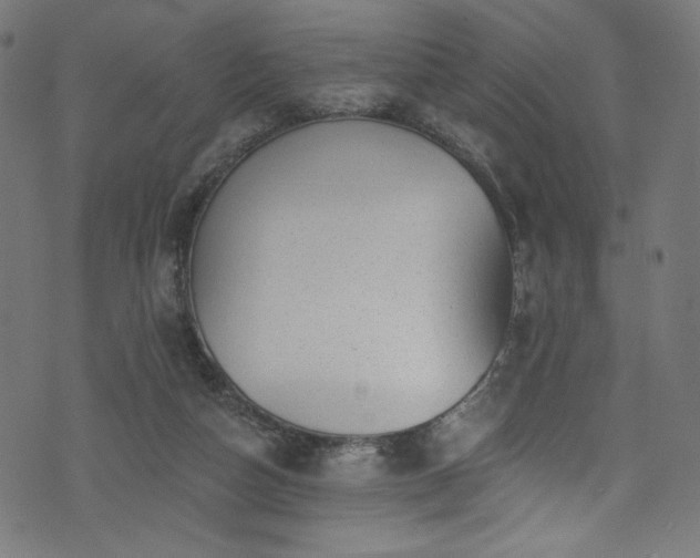 X0000074040162200608281453