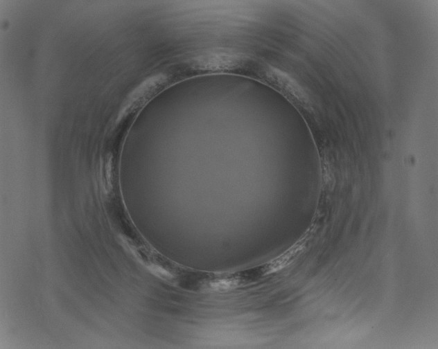 X0000074040163200608281453