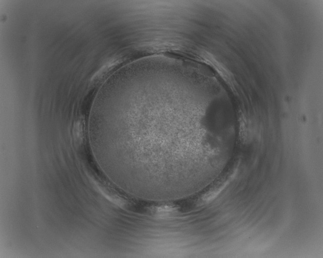 X0000074040165200608281453