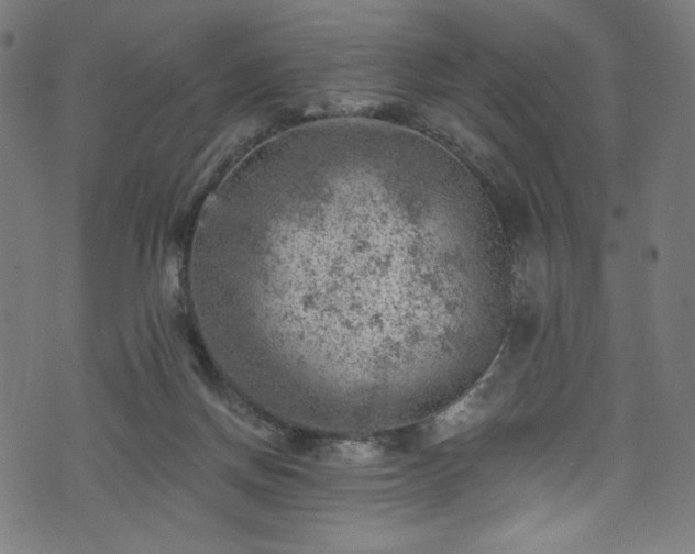 X0000074040166200608281453