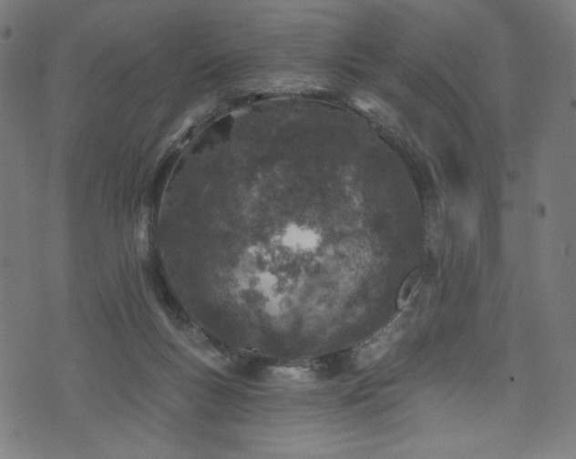 X0000074040167200608281453