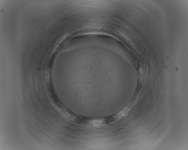 X0000074040168200608281453