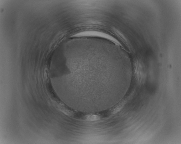 X0000074040169200608281453