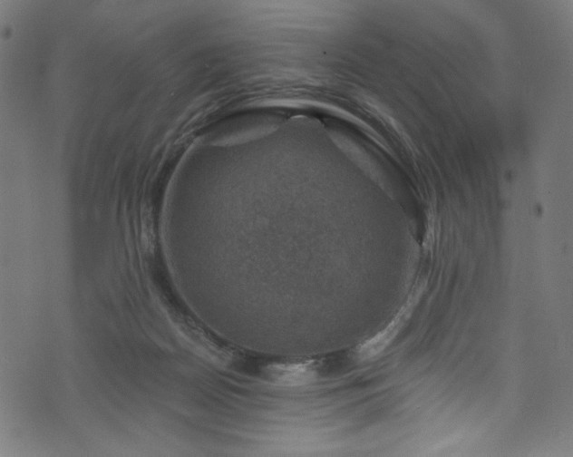 X0000074040170200608281453