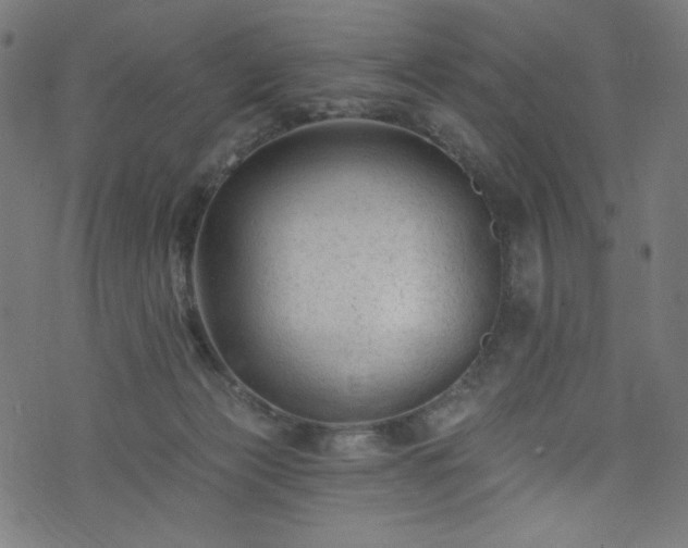 X0000074040173200608281453