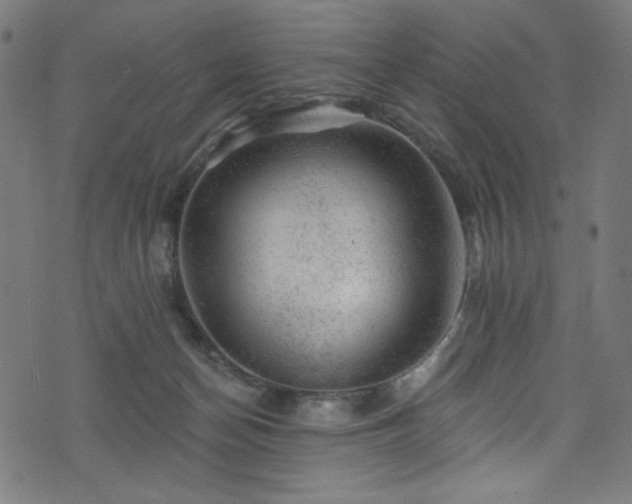 X0000074040174200608281453