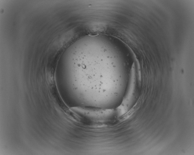 X0000074040176200608281453