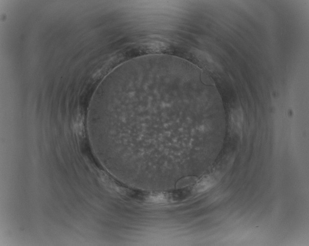 X0000074040177200608281453