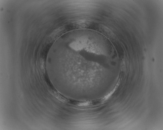 X0000074040178200608281453