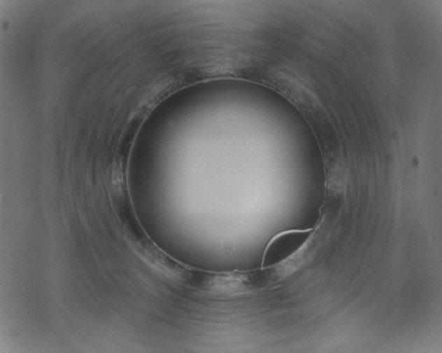 X0000074040179200608281454