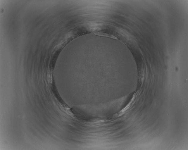 X0000074040180200608281454