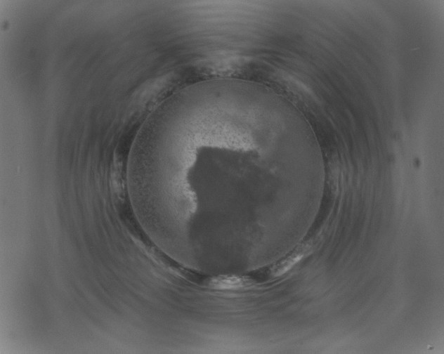 X0000074040181200608281454