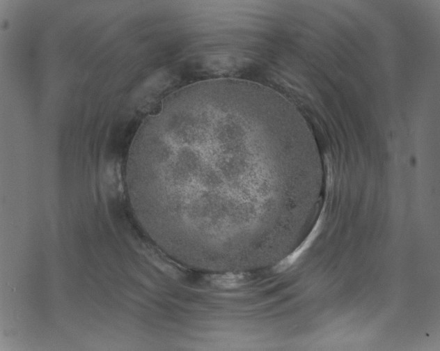 X0000074040182200608281454