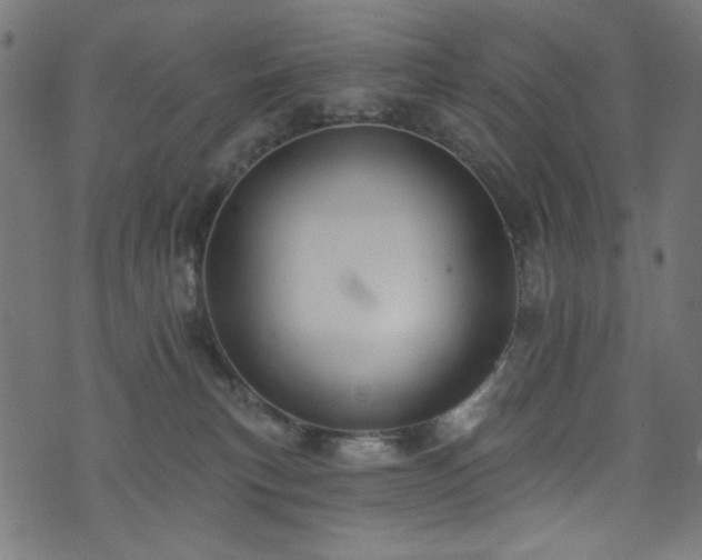 X0000074040183200608281454