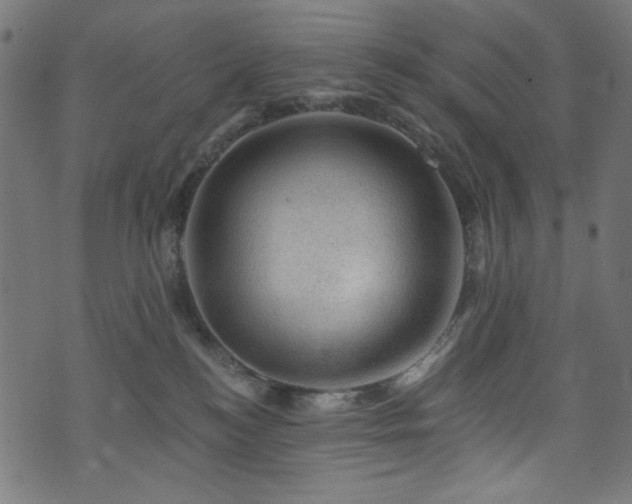 X0000074040184200608281454