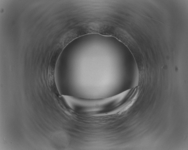 X0000074040186200608281454