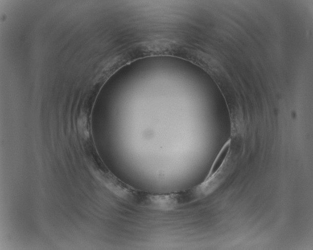 X0000074040187200608281454