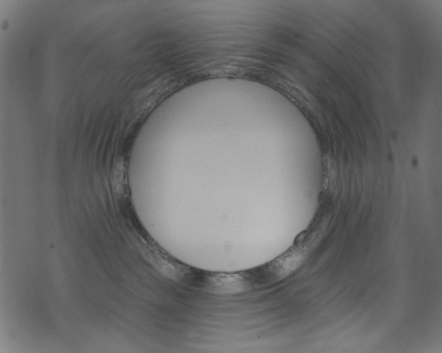 X0000074040189200608281454