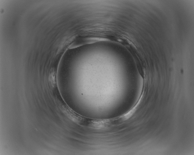 X0000074040190200608281454