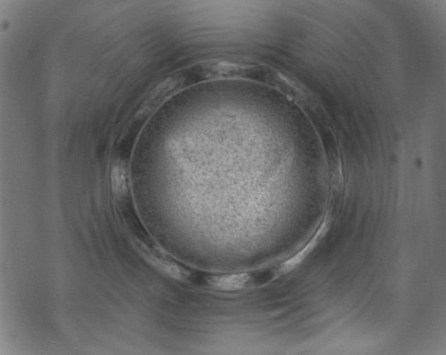 X0000074040191200608281454