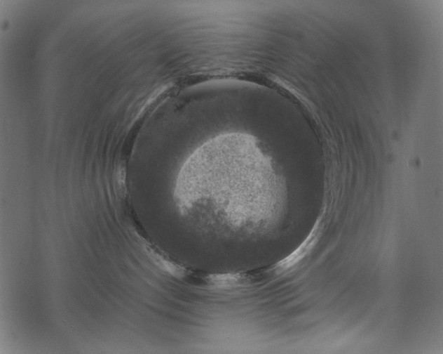 X0000074040192200608281454