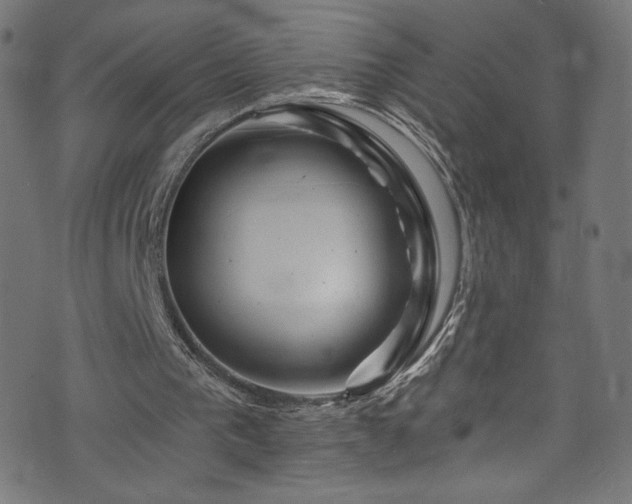 X0000074040193200608281453