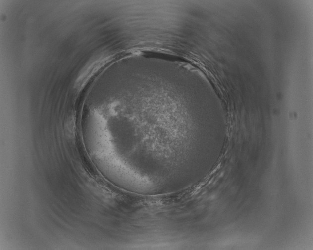 X0000074040194200608281453