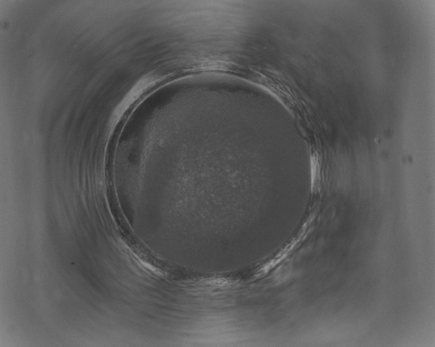 X0000074040195200608281453