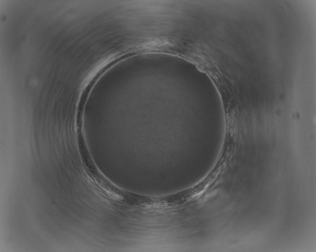 X0000074040196200608281453