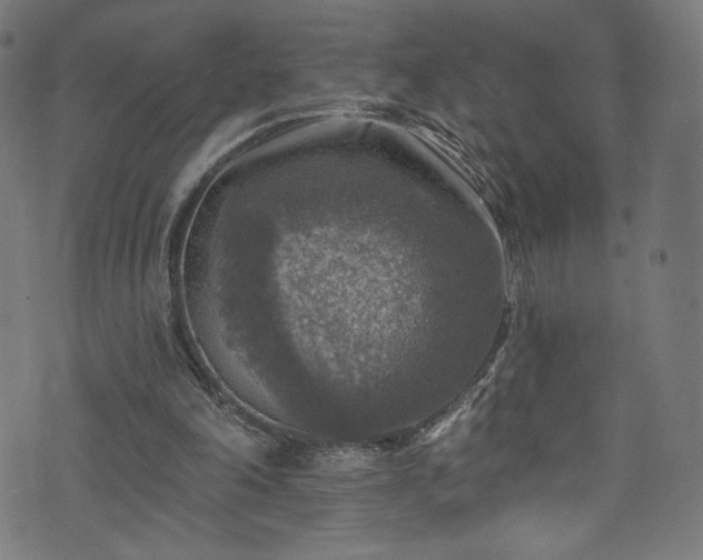 X0000074040198200608281453