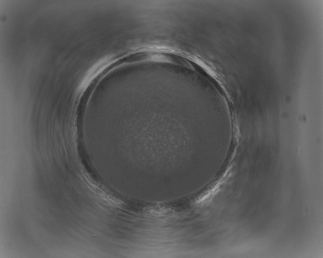 X0000074040199200608281453