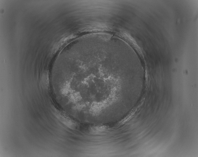 X0000074040202200608281453