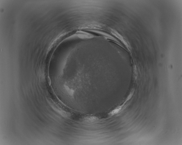 X0000074040203200608281453