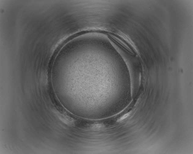 X0000074040204200608281453