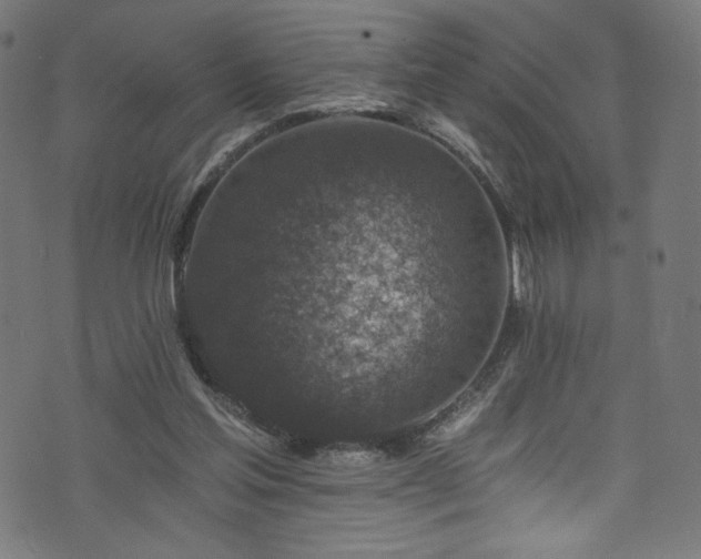 X0000074040205200608281453