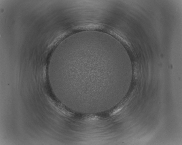 X0000074040206200608281453