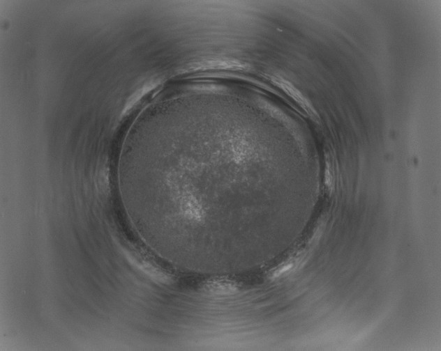 X0000074040207200608281453