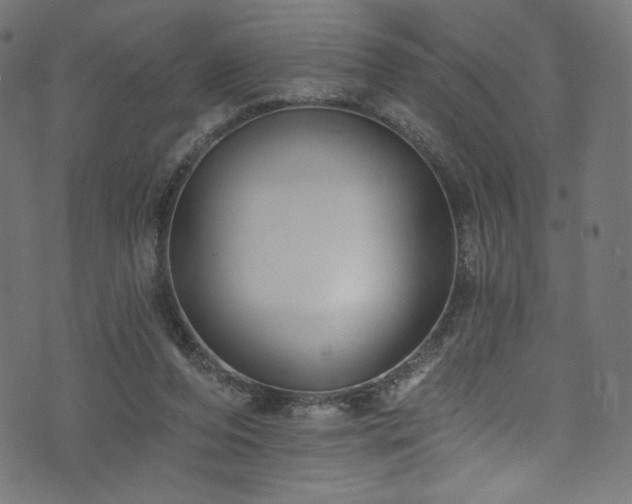 X0000074040208200608281453