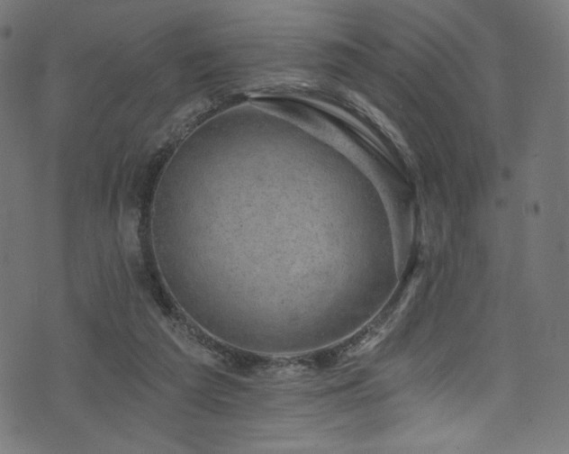 X0000074040209200608281453