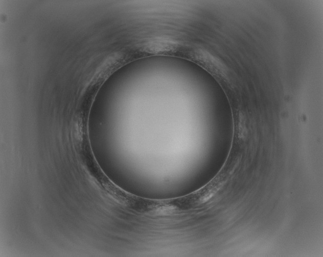 X0000074040210200608281453