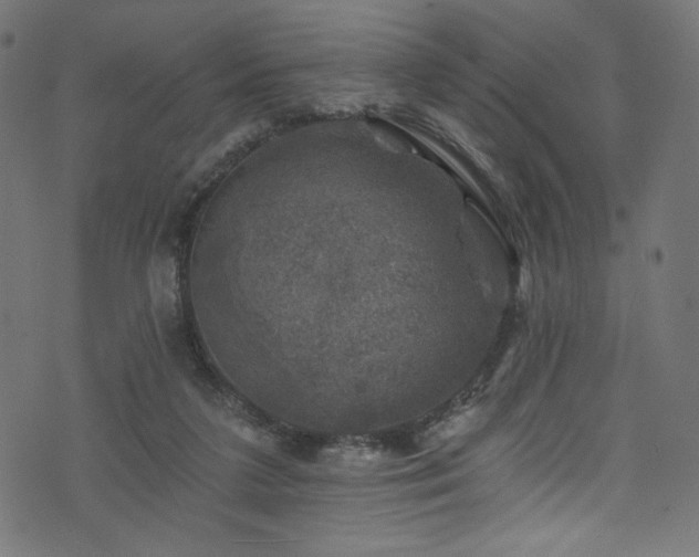 X0000074040211200608281453