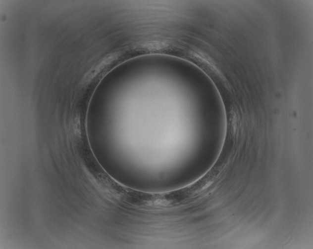 X0000074040212200608281453