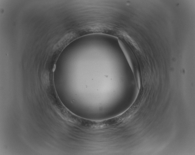 X0000074040213200608281453