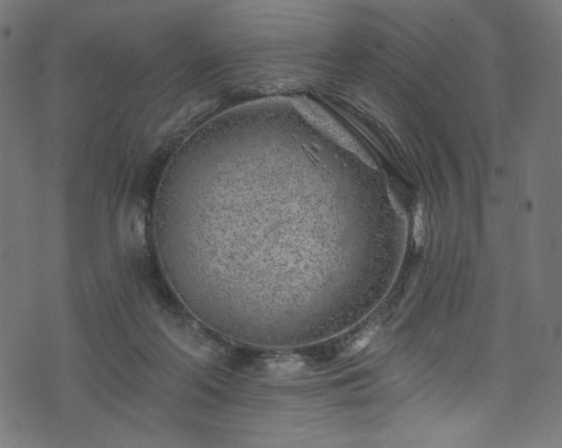 X0000074040214200608281453