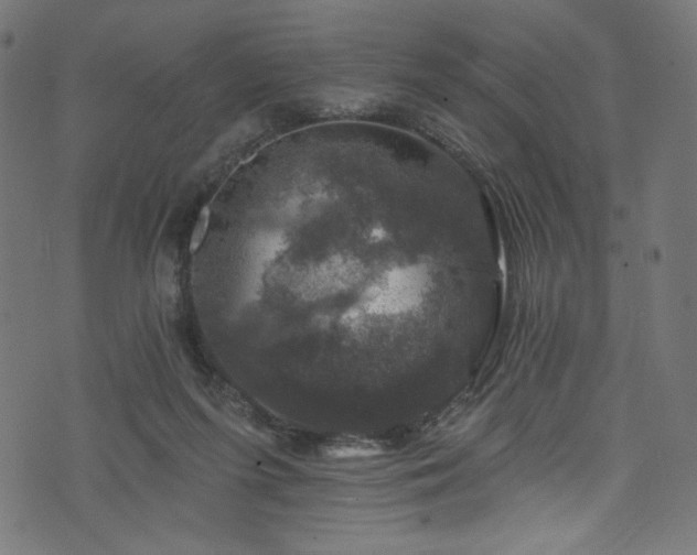 X0000074040215200608281453