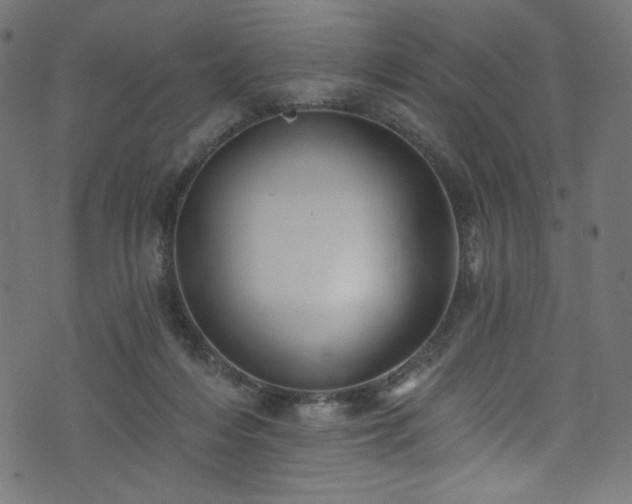 X0000074040216200608281453