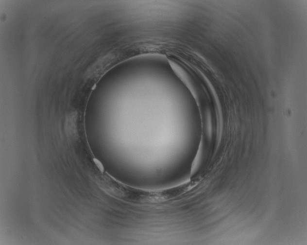 X0000074040217200608281453